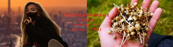 MDMA Premium VHQ Богданович